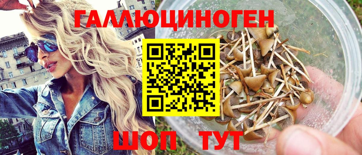 Псилоцибиновые грибы ЛСД Ковров