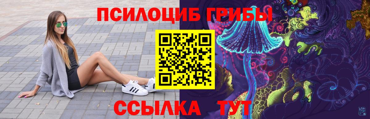 Псилоцибиновые грибы GOLDEN TEACHER  Вход с VPN  Ковров 